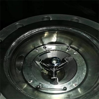 刷式自清洗過(guò)濾器